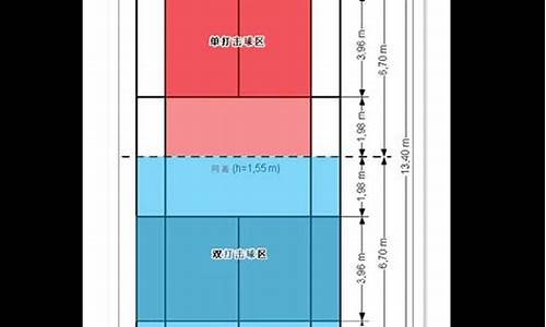 男子羽毛球单打界限规则_男子羽毛球单打界限规则是什么
